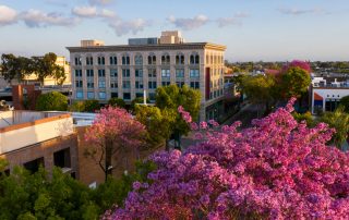 Aerial View of Fullerton