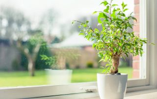 Energy-Efficient Windows vs. Regular Windows